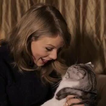 Taylor loves cats and so do I.