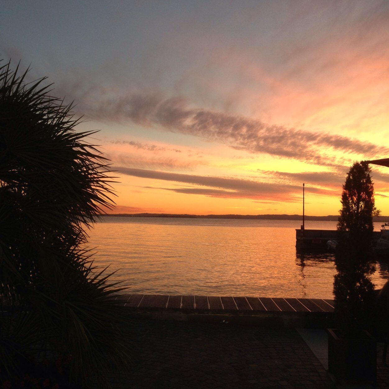 DelooijerJos's profile picture. 