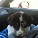 Meghan Hopper - @megpie1114 - Twitter