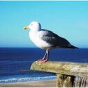 Martina Friedrich - @Maze1701 - Twitter