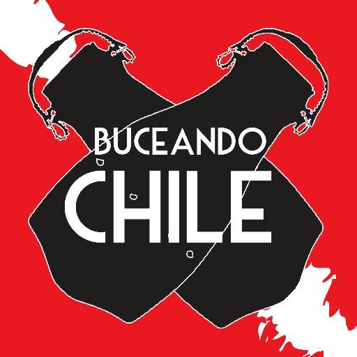 BuceandoChile's profile picture. Expediciones y difusión del buceo en Chile