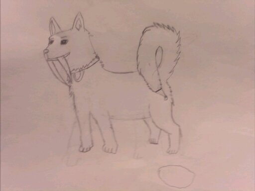 cesar