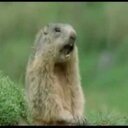 Allen Weber - @allen_weber - Twitter