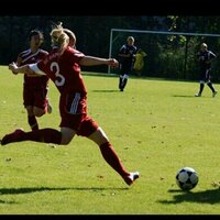 Stege (@cs__03) 's Twitter Profile