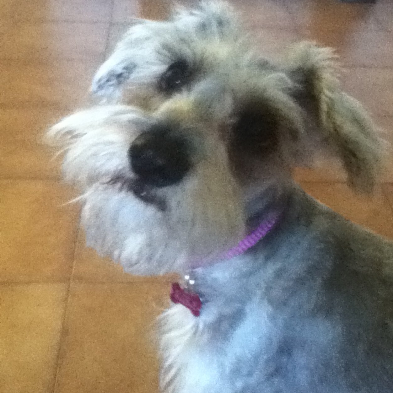 MargaritaCarra8's profile picture. 