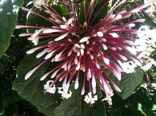 traceys18560710's profile picture. 