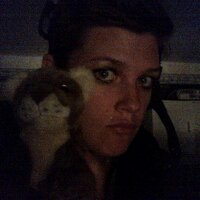 Steph Link (@stephlinksm) 's Twitter Profile