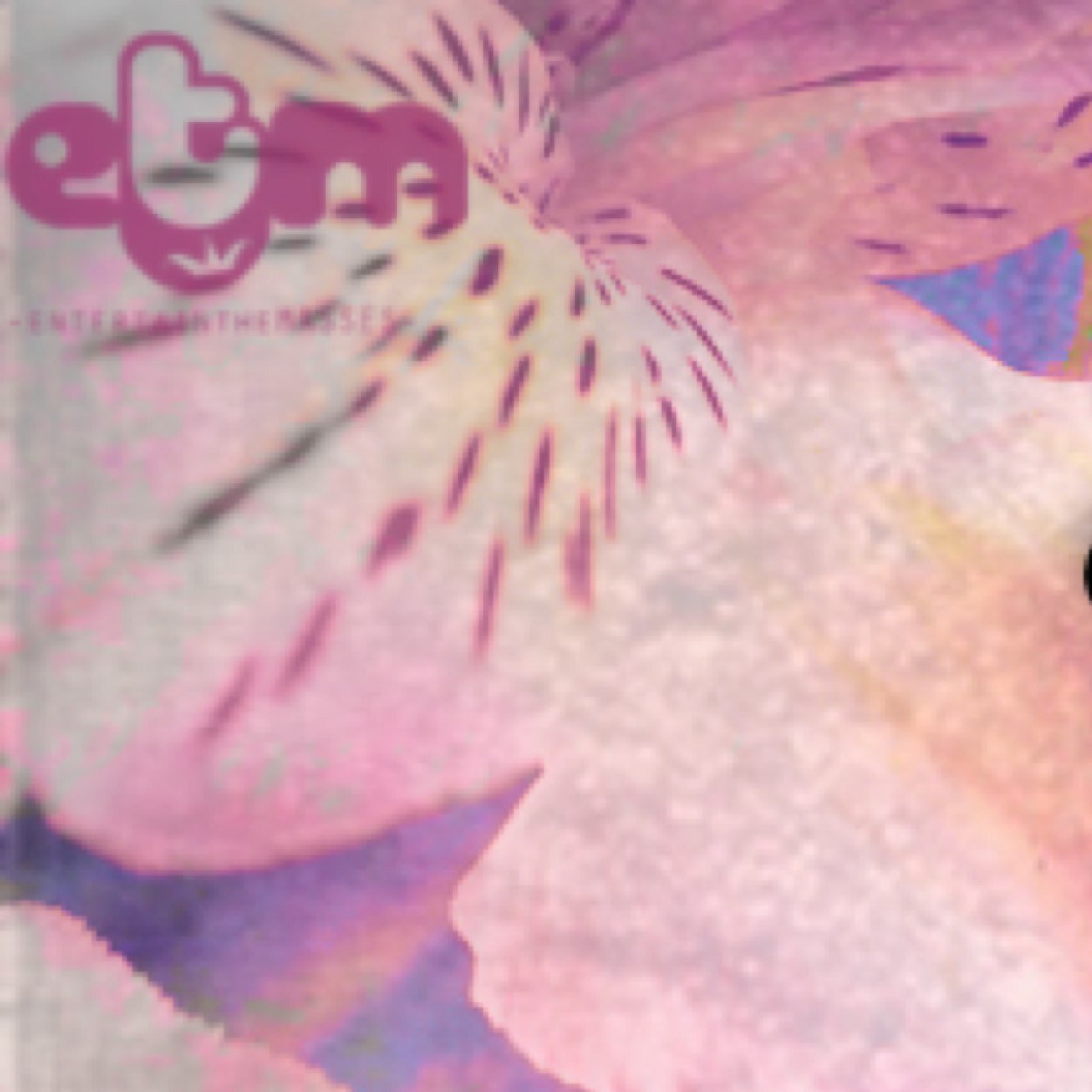 ...From A Chick Named Chuck. | Online Clothing Store |