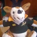 Storm Russell - @stormas - Twitter