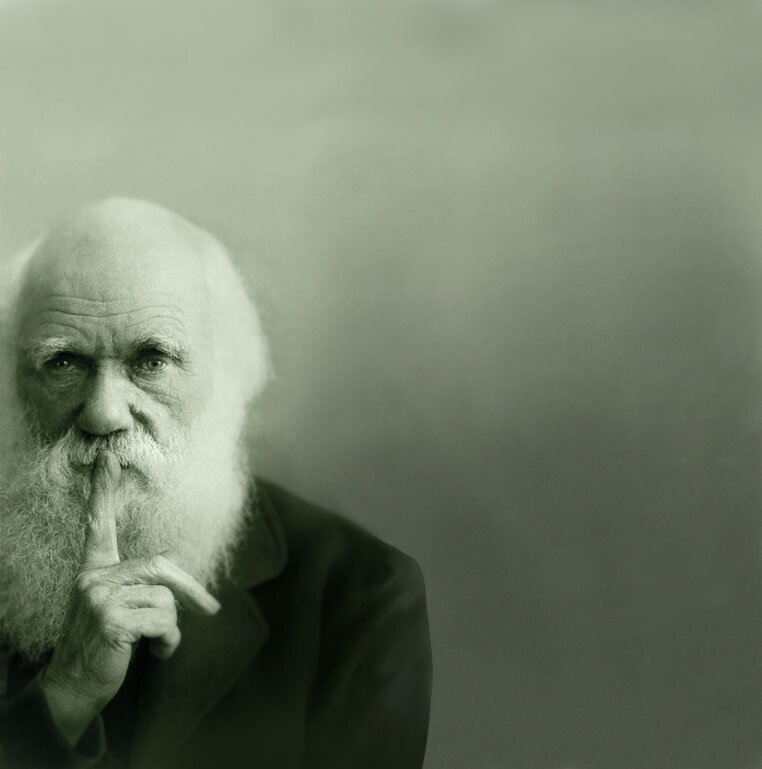 Evolusi