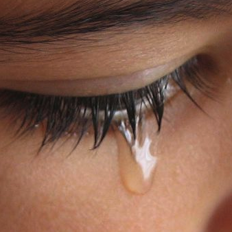 AbeAndrewsDEV's profile picture. 