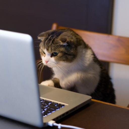 VoloAcademy's profile picture. Converting #writers into world-class social media & content writers. Launching shortly.