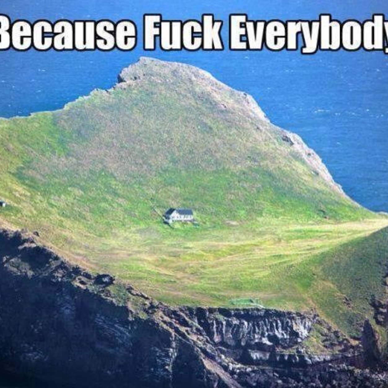 stingnitrate's profile picture. FOLLOW ME AND I WILL FOLLOW AND SUBSCRIBE TO YOUR YOUTUBE