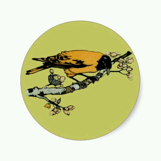 trufflingtweets's profile picture. 