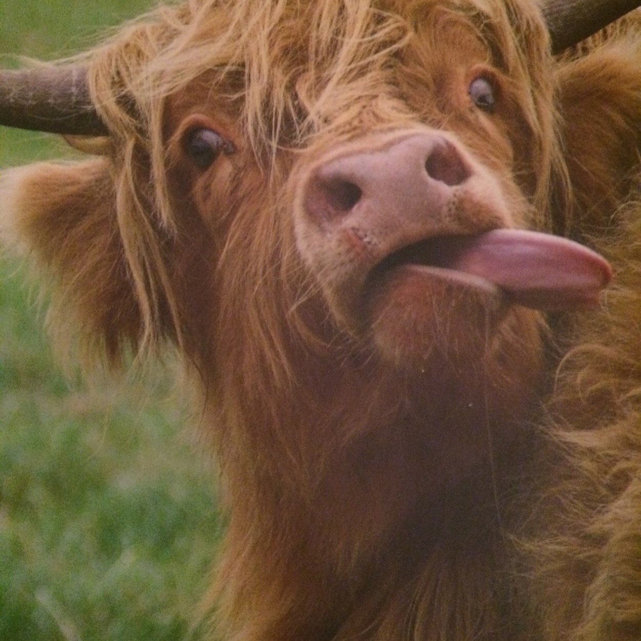 ArnoldStoker's profile picture. 