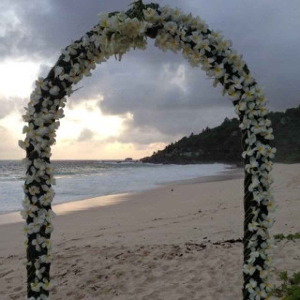 hhatem2121's profile picture. 