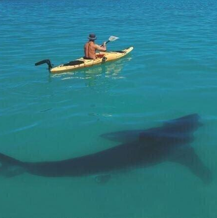 RalphWKausen's profile picture. Life is good!...so is ice cream!!.. & golfing, fishing, skiing, cycling, hiking, diving, &  .... all things ---
  Live long & prosper!! 🖖😎🙂👍🤙