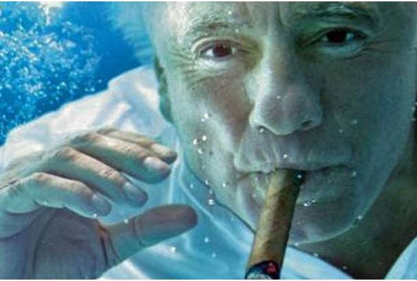 guillotecoppola's profile picture. 