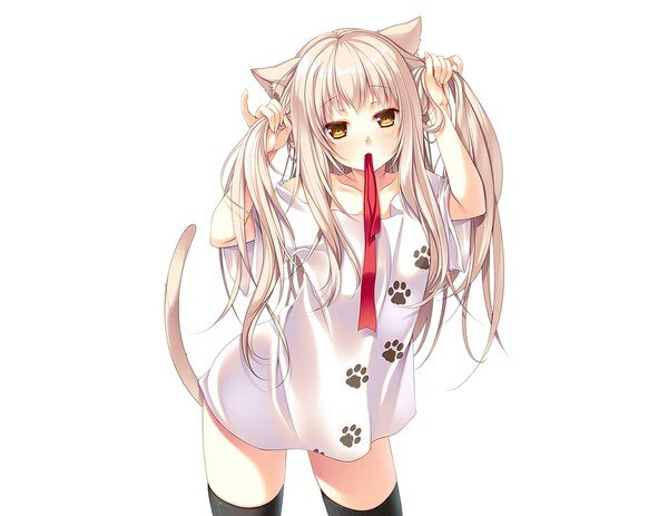 Bitches I am back did cha miss me?? #neko #FollowsBackSometimes