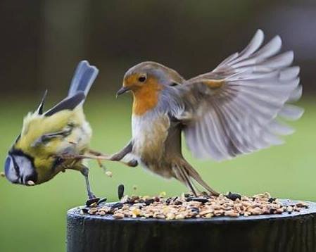 Sharing funny perfectly timed photos