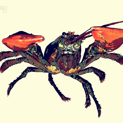 panbloblanco's profile picture. Fotografía y lo que conlleva