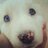 raquel13moji's profile image