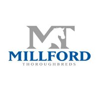 Millford Thoroughbreds (@millfordtbreds) 's Twitter Profile