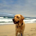 Darryl Logan - @djlogan88 - Twitter