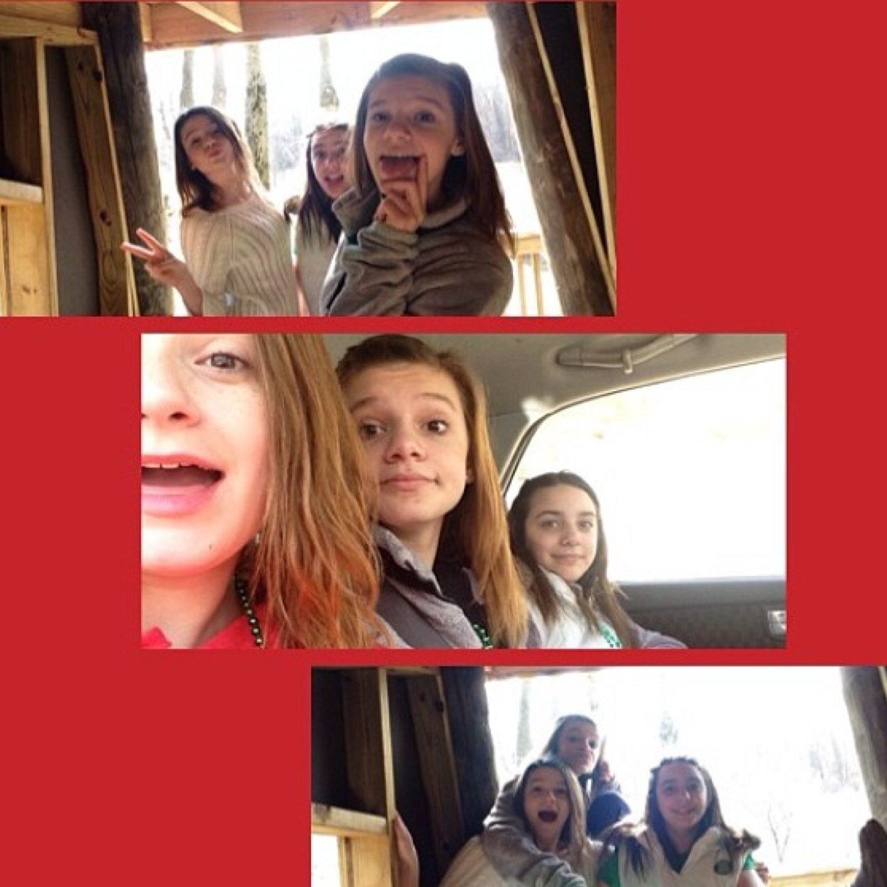 NBoccella's profile picture. 