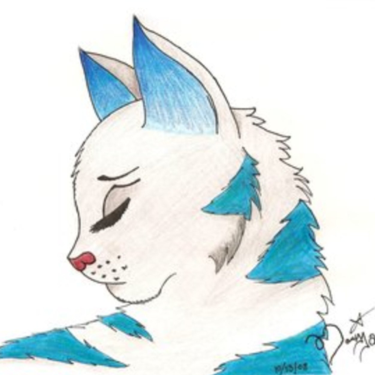 Elder. Mate: Dead #white old she-cat with blue markings that used to be beautiful. blue eyes. Son: IceHeart #Old deputy of SnowClan. #dead Deputy of StarClan.