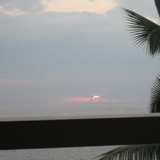 sharylmcgloin's profile picture. 