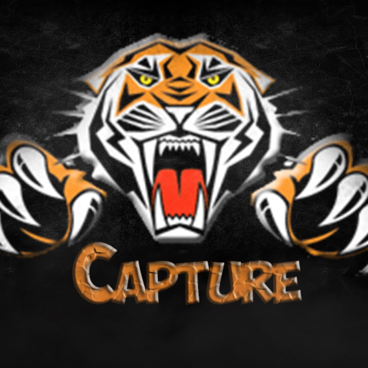 Competitive Call of Duty AM Player // Player for @CaptureLVGaming // Vanity Rayz Reality ReaL // Earnings: Enough to steal yo girl