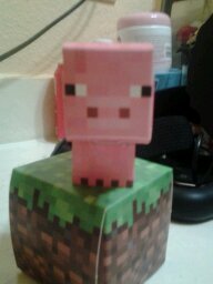 A friend/that plays minecraft pe and terrarIa /and I am 12 years old :-P/and soon to be youtuber/singel/male/And very nice guy that will be sending shout out