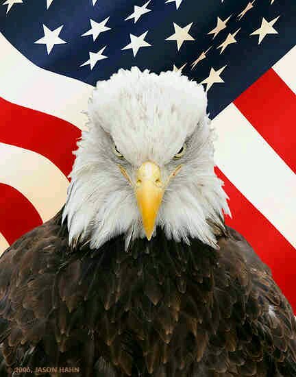 Iowa Hawkeyes and America!