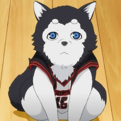 テツヤ二号 Tetuya 2 Nr Twitter テツヤ二号 Tetuya 2 Nr Twitter