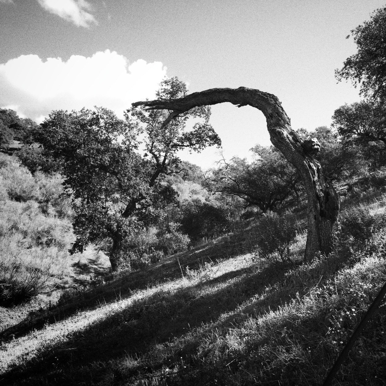 Fotografía, Arte,Diseño todo lo que implique darle un poco a la cabeza.