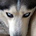 enish (@enish) Twitter profile photo