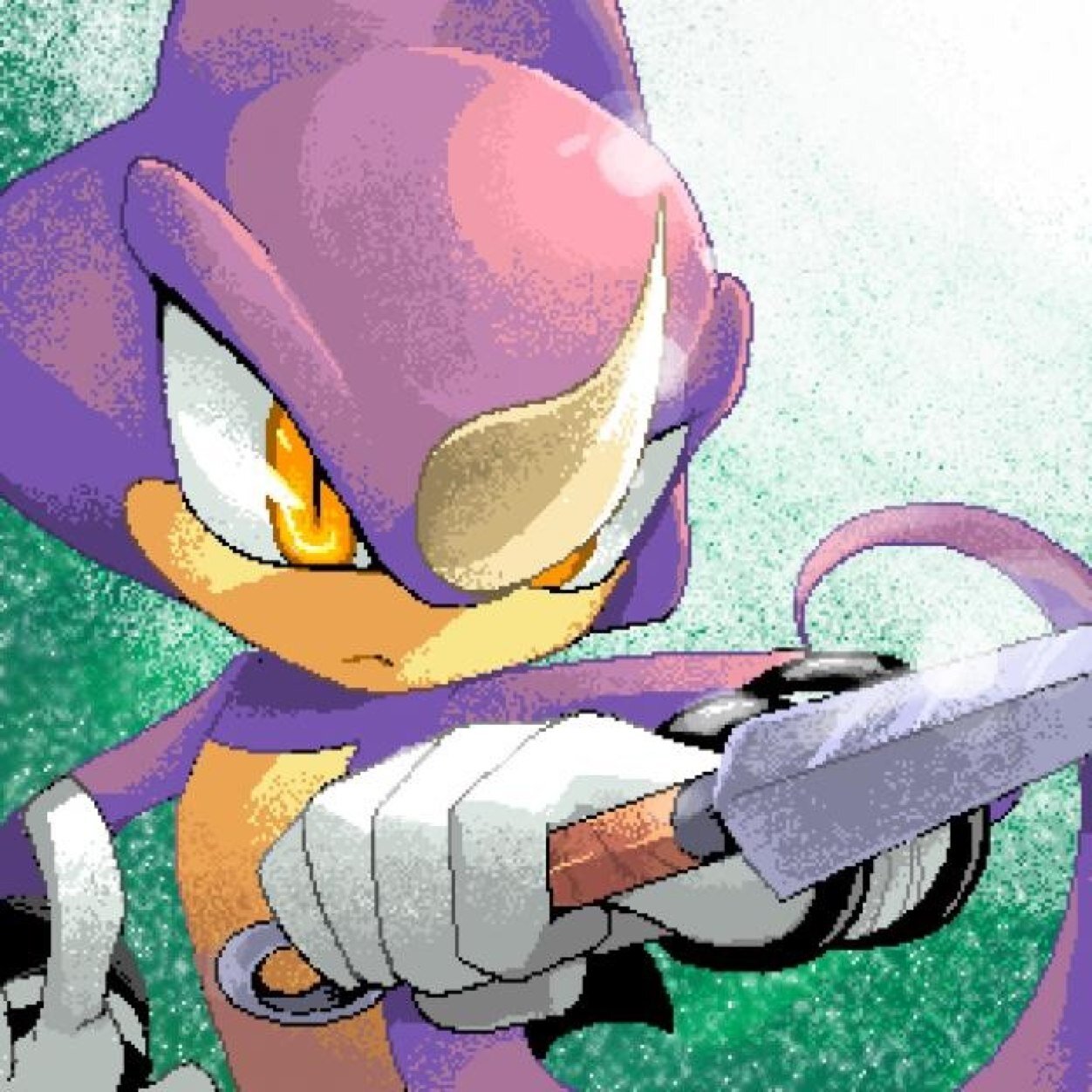 The shinobi of the Chaotix Agency, and a master of ninjustu. #TeamChaotix [#SonicTwitter]