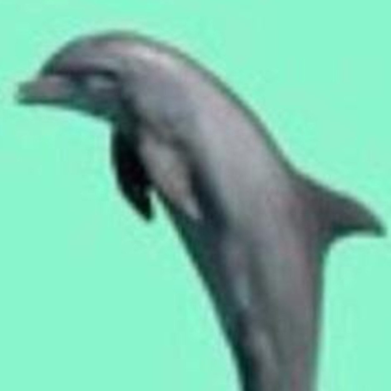 whystruggling's profile picture. have u ever looked in the mirror and just said ew wtf was that