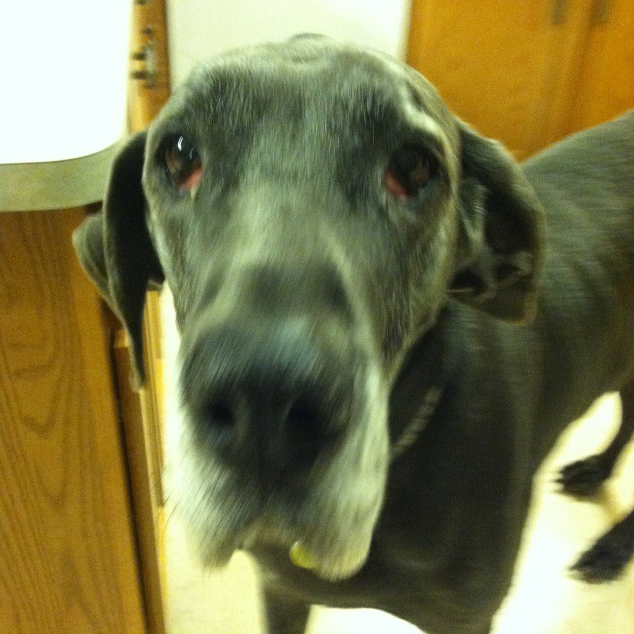 cumming_shannon's profile picture. 