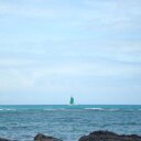 Cheryl Briggs - @tigercubs5 - Twitter