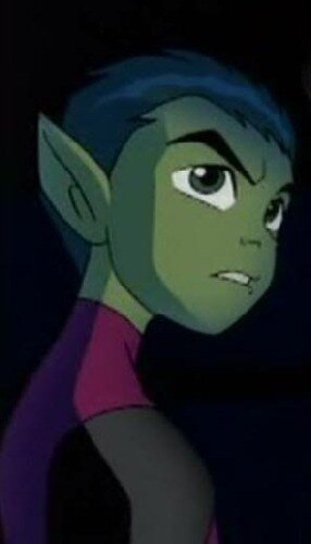 Im a Titan Thats very Annoying (And Funny) I like Terra  I am In the Teen Titans Team! (Im a sonic fan BTW)