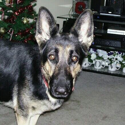 auntwhispers's profile picture. 