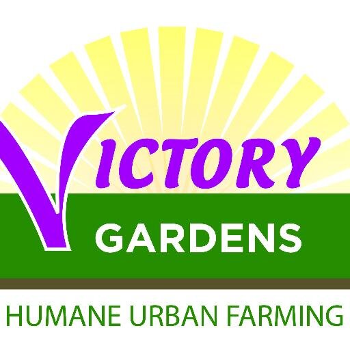 Building bridges and empowering the needy with fresh food