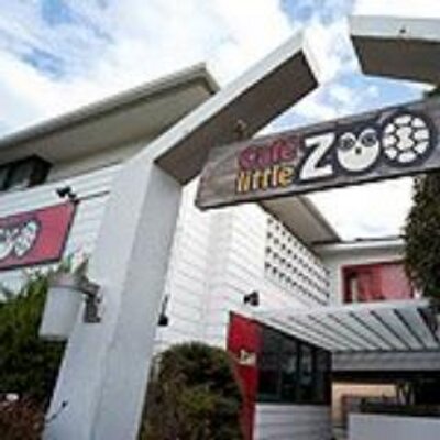 Cafe Little Zoo Cafelittlezoo Twitter Cafe Little Zoo Cafelittlezoo Twitter