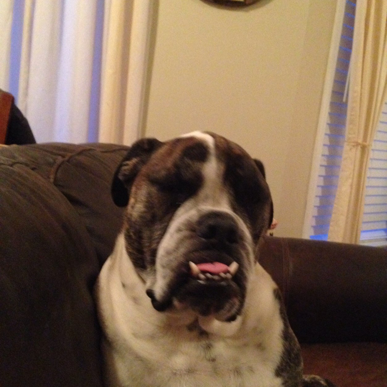 tarntino121's profile picture. 