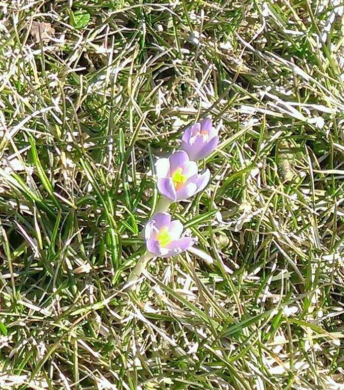 coalmindgh's profile picture. Engineer wanting to work from home.