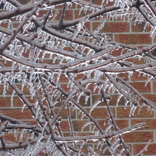 plarunoo's profile picture. 