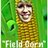 Field Corn