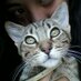 duul_romero (@duulromero) Twitter profile photo